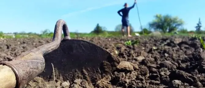 Il perito sbaglia i calcoli e gli confiscano la terra per mafia