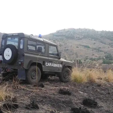 Dà fuoco alle sterpaglie nel Parco Aspromonte, denunciato