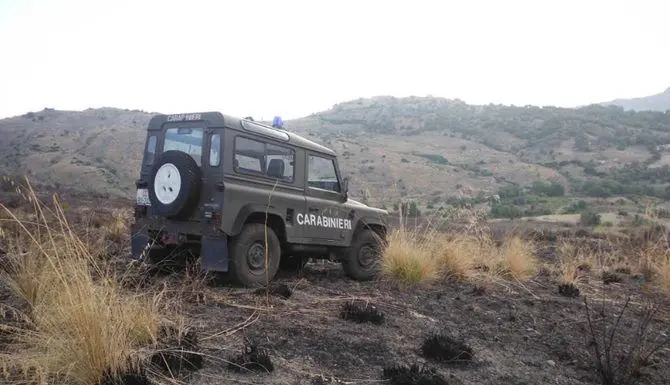 Dà fuoco alle sterpaglie nel Parco Aspromonte, denunciato