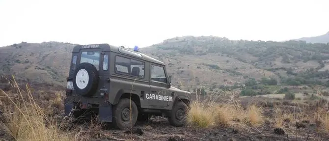Dà fuoco alle sterpaglie nel Parco Aspromonte, denunciato