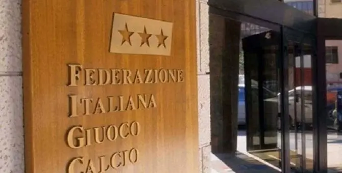 VIBONESE | La telenovela con la Figc non è finita: nuovo capitolo