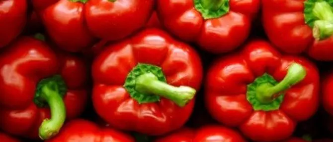 Roggiano Gravina celebra il peperone, l'ortaggio calabrese punta al dop