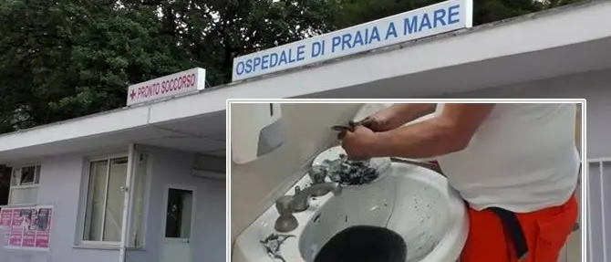 Praia a Mare, lo scandalo delle seppie pulite in ospedale finisce su Rete 4