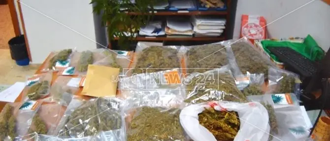 Due chili di marijuana nel bagno del negozio, denunciato commerciante
