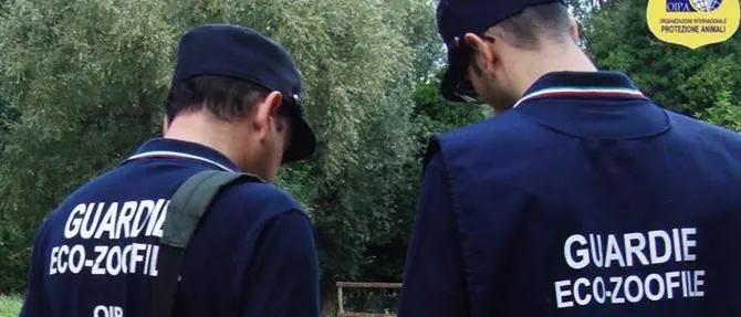 Guardie zoofile, in Calabria al via i corsi di formazione