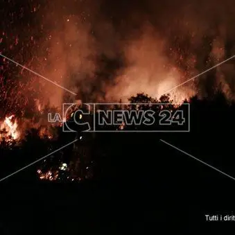 Paura a Catanzaro, scoppia un incendio sulle colline di Germaneto
