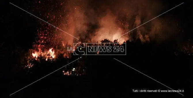 Paura a Catanzaro, scoppia un incendio sulle colline di Germaneto