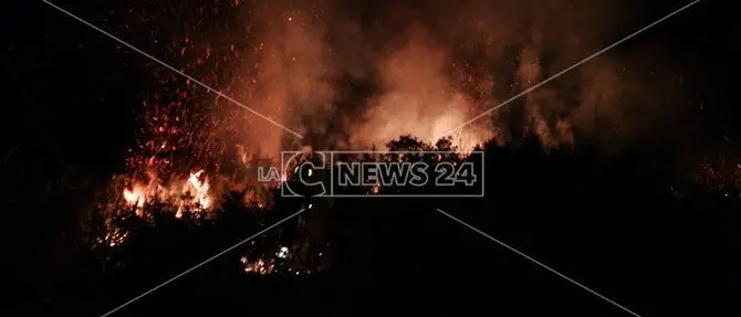 Paura a Catanzaro, scoppia un incendio sulle colline di Germaneto