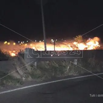 Riviera dei cedri avvolta dalle fiamme, incendio più vasto a San Nicola Arcella