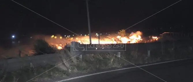 Riviera dei cedri avvolta dalle fiamme, incendio più vasto a San Nicola Arcella