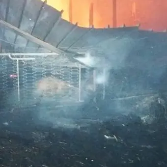 Incendio distrugge capannone a Sersale, morti carbonizzati alcuni ovini