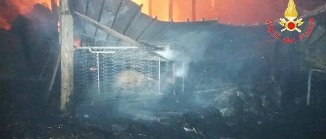 Incendio distrugge capannone a Sersale, morti carbonizzati alcuni ovini