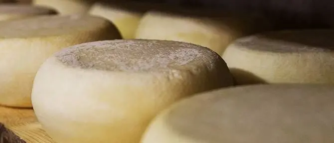 Falso pecorino crotonese prodotto in Sardegna, due indagati