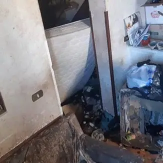 Reggio, cani denutriti e nel degrado in casa di un’anziana: salvati