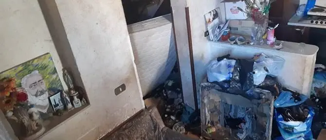 Reggio, cani denutriti e nel degrado in casa di un’anziana: salvati