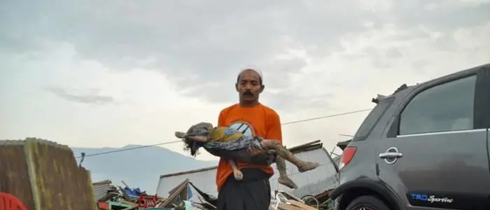 Il terremoto fa strage in Indonesia, più di 380 morti