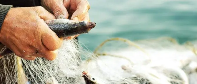 Cibo e territorio, le eccellenze reggine in vetrina a Roma