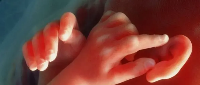 Commovente iniziativa a Rossano, feti raccolti in un'unica bara bianca