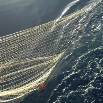 Attrezzi da pesca non autorizzati, sequestri nel Vibonese