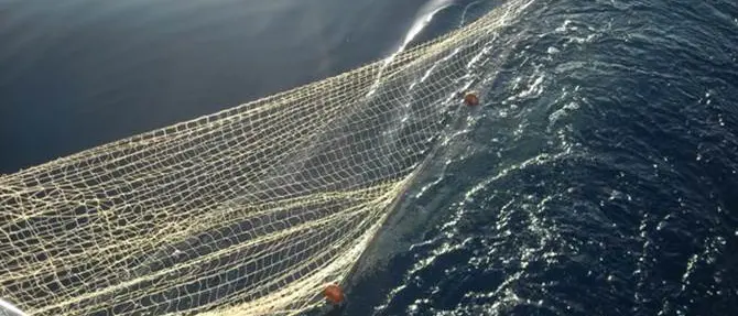 Attrezzi da pesca non autorizzati, sequestri nel Vibonese