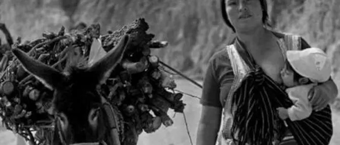 “Arrassusia”, i proverbi calabresi: esempi di cultura popolare ancora viva