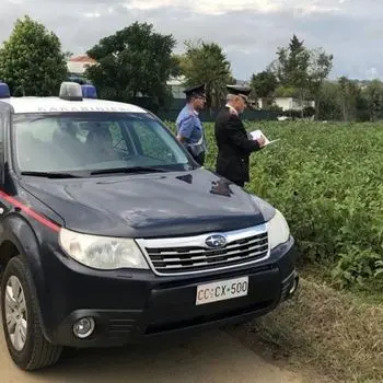 Roggiano Gravina, sfruttava extracomunitari: arrestato imprenditore agricolo