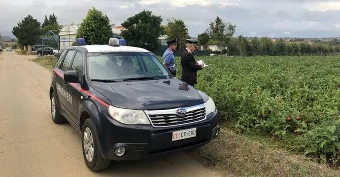 Roggiano Gravina, sfruttava extracomunitari: arrestato imprenditore agricolo