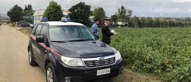 Roggiano Gravina, sfruttava extracomunitari: arrestato imprenditore agricolo