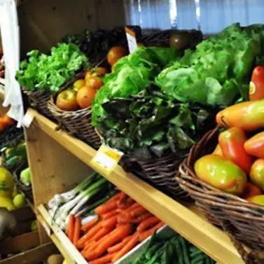 Oltre 300 prodotti a rischio estinzione censiti e salvati da “Campagna amica”