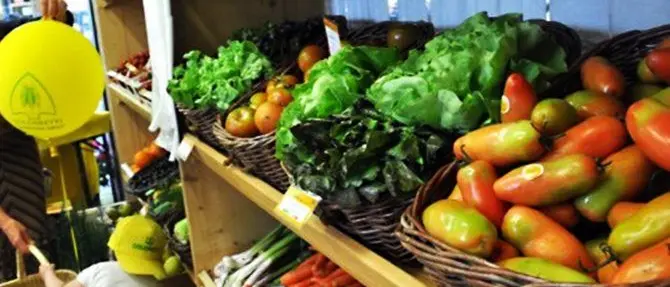 Oltre 300 prodotti a rischio estinzione censiti e salvati da “Campagna amica”