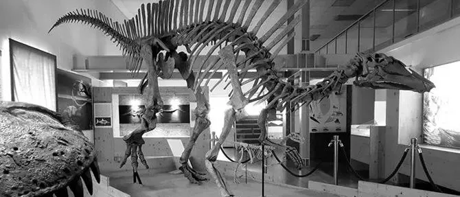 Pochi giorni alla “Settimana del Pianeta terra”, geoevento per i giovani in Calabria