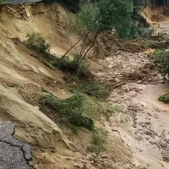 Agricoltura devastata dal maltempo, Coldiretti: «Danni per 100milioni»