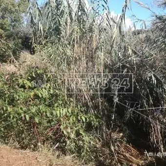 Tragedia di Lamezia, i volontari non si arrendono: «Vogliamo ridare Nicolò al papà»