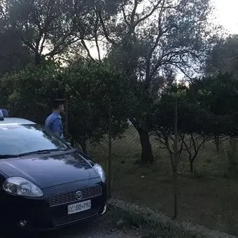 Rubavano mandarini in un terreno privato, tre arresti a Cinquefrondi