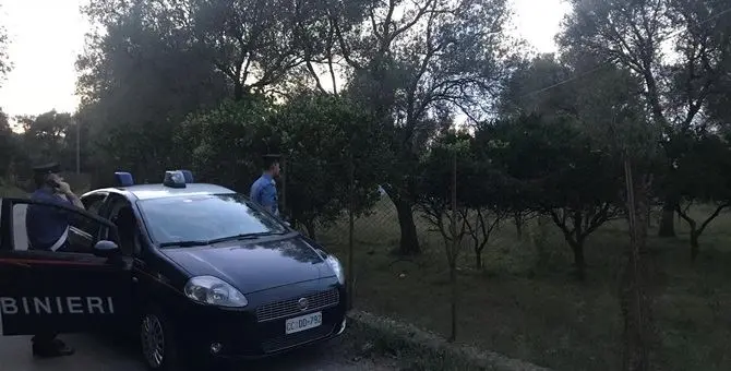 Rubavano mandarini in un terreno privato, tre arresti a Cinquefrondi