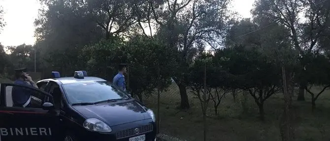 Rubavano mandarini in un terreno privato, tre arresti a Cinquefrondi
