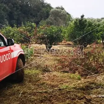 Tragedia di Lamezia: abbiamo rimosso un video ma non condividiamo le polemiche
