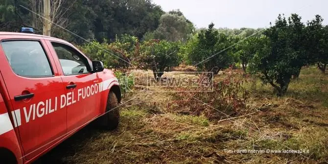 Tragedia di Lamezia: abbiamo rimosso un video ma non condividiamo le polemiche