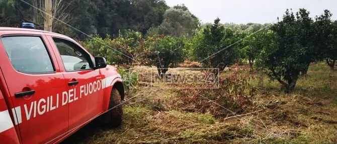 Tragedia di Lamezia: abbiamo rimosso un video ma non condividiamo le polemiche