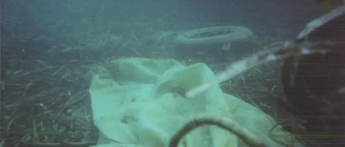 Praia a Mare, Italia Nostra pulirà i fondali dell'isola di Dino