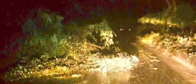 Smottamenti e alberi abbattuti nella notte a Cortale