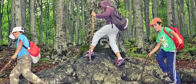 Cosenza, presto al via i laboratori didattico-naturalistici per le scuole