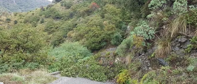 Chiusa per frana la strada che da Valanidi conduce a Motta San Giovanni