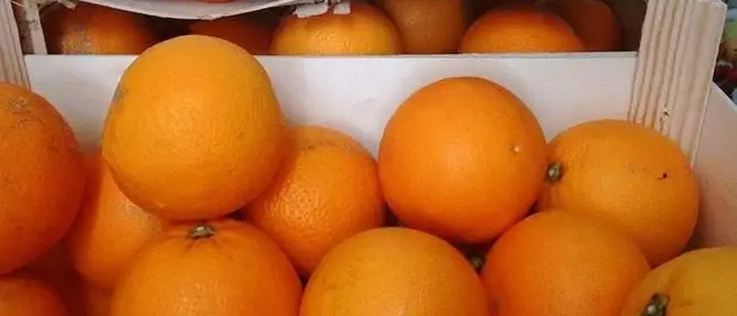 Arance e legna in cambio di favori, 5 carabinieri indagati a Cirò