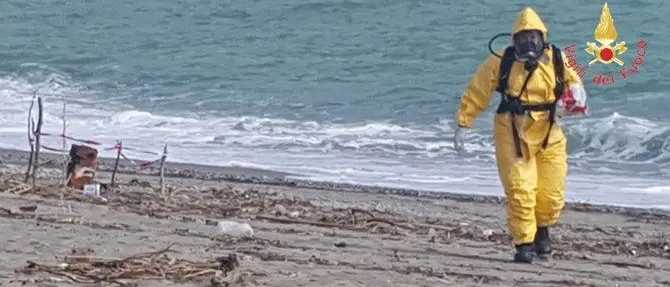 Fusto spiaggiato a Roccelletta: nessun rischio contaminazione