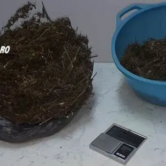 Droga in casa, arrestato un 41enne di Girifalco