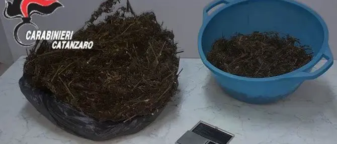 Droga in casa, arrestato un 41enne di Girifalco