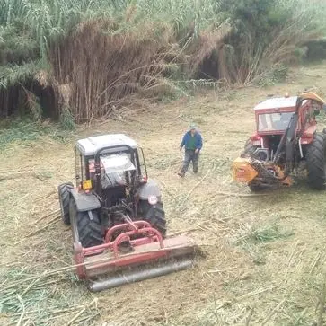 Cosenza, lavori di bonifica lungo il Busento disposti dal comune