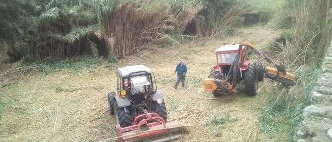 Cosenza, lavori di bonifica lungo il Busento disposti dal comune