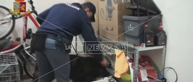 “Sette note”, lo stratagemma del pannolino per sviare i cani antidroga